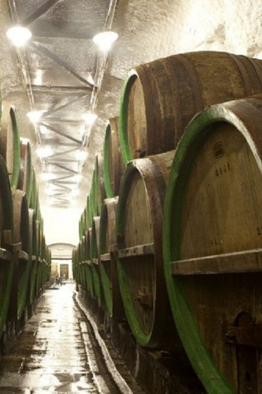 Pilsner Brauerei & Nizbor Glasfabrik Kombinationstour – Ein unvergessliches Erlebnis in Tschechien