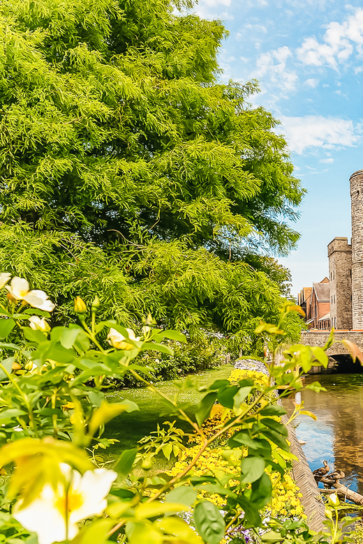 Erleben Sie Londons Highlights: Tagestour zu den White Cliffs und Canterbury