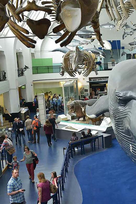 Naturwunder Londons erleben: Geführte Tour im Naturhistorischen Museum