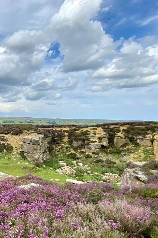 Erleben Sie die North York Moors: Dampflok-Abenteuer von London nach Whitby