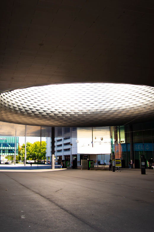 Basel entdecken: Unvergessliche Kunsttour mit lokalem Experten