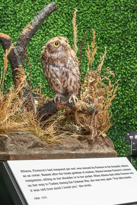 Entdecken Sie das Florence Nightingale Museum in London – Jetzt Ticket sichern!