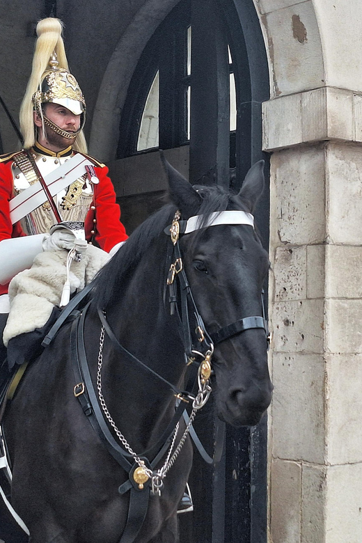 Entdecken Sie London: 2-stündiger Spaziergang vom Buckingham Palace zum Big Ben