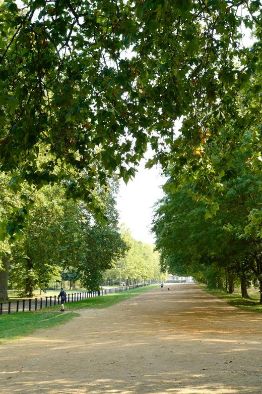 Entdecken Sie London: 24-Stunden Hop-On Hop-Off Bus Tour für Flexibilität