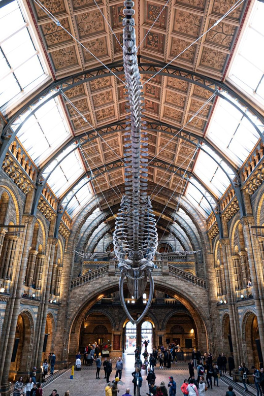 Fascinierende Evolutionsreise: Geführte Tour im Naturhistorischen Museum London