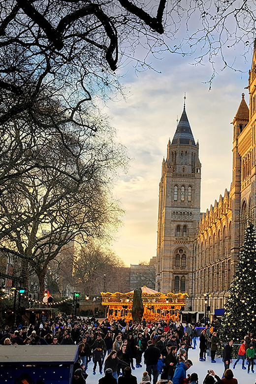 London erleben: Geheimnisse des Naturhistorischen Museums in der geführten Tour