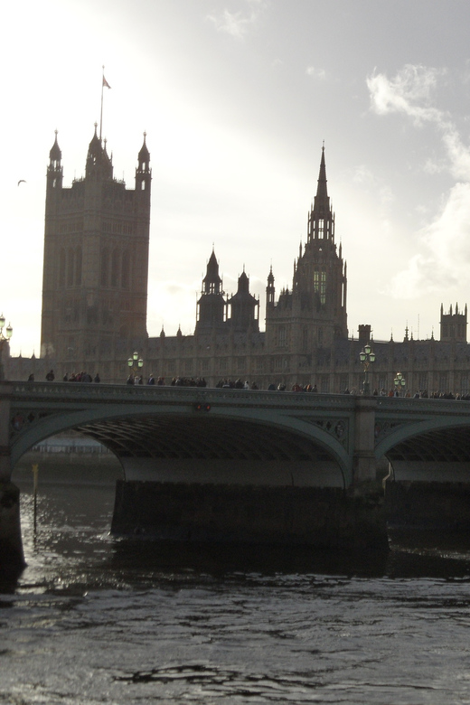 Entdecken Sie London: Exklusive Stadtbesichtigungstour mit privatem Guide