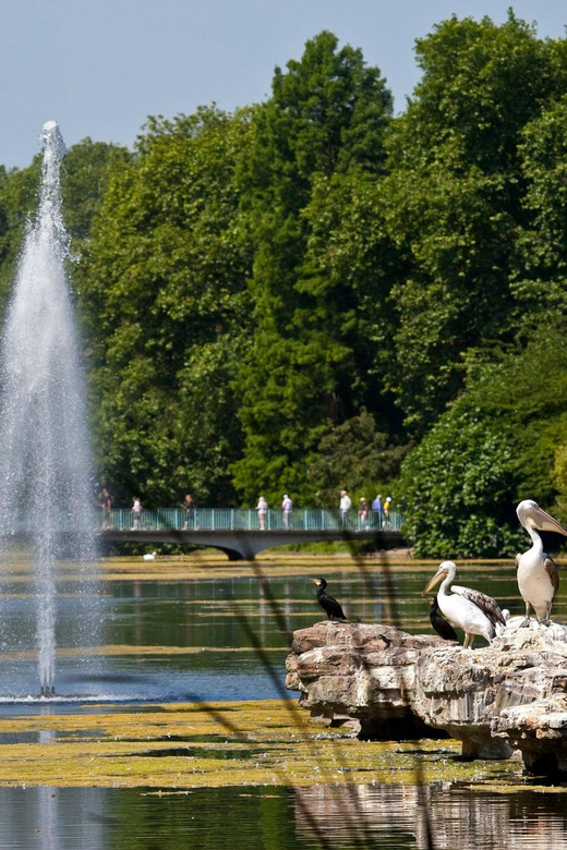 Entdecken Sie Londons Royals: Geführter Spaziergang mit Wachwechsel & Mews