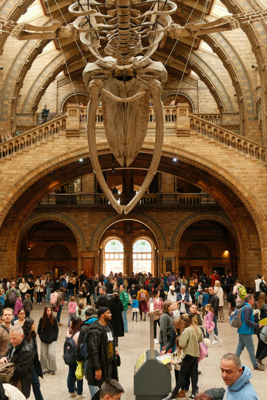 Entdecken Sie Londons Naturhistorisches Museum: Unvergessliche Tour für Entdecker