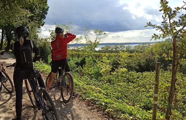 Bardolino: E-Bike-Tour und Weinverkostung Highlights entdecken