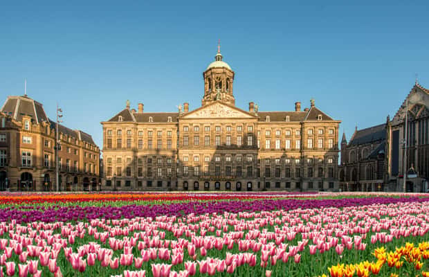 Amsterdam: Private Führung durch den Königspalast – Erlebnis