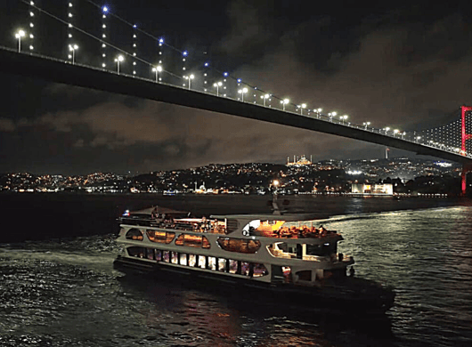 Istanbul: Bosporus-Dinner-Kreuzfahrt mit Essen