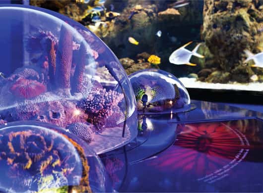 Istanbul: Aquarium mit Shopping-Zeit