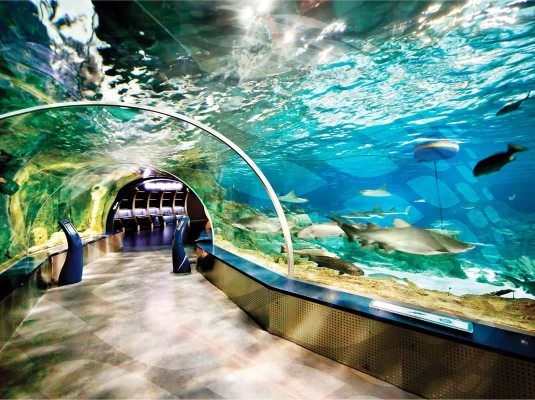 Istanbul Aquarium und Aqua Florya Einkaufszentrum Tour