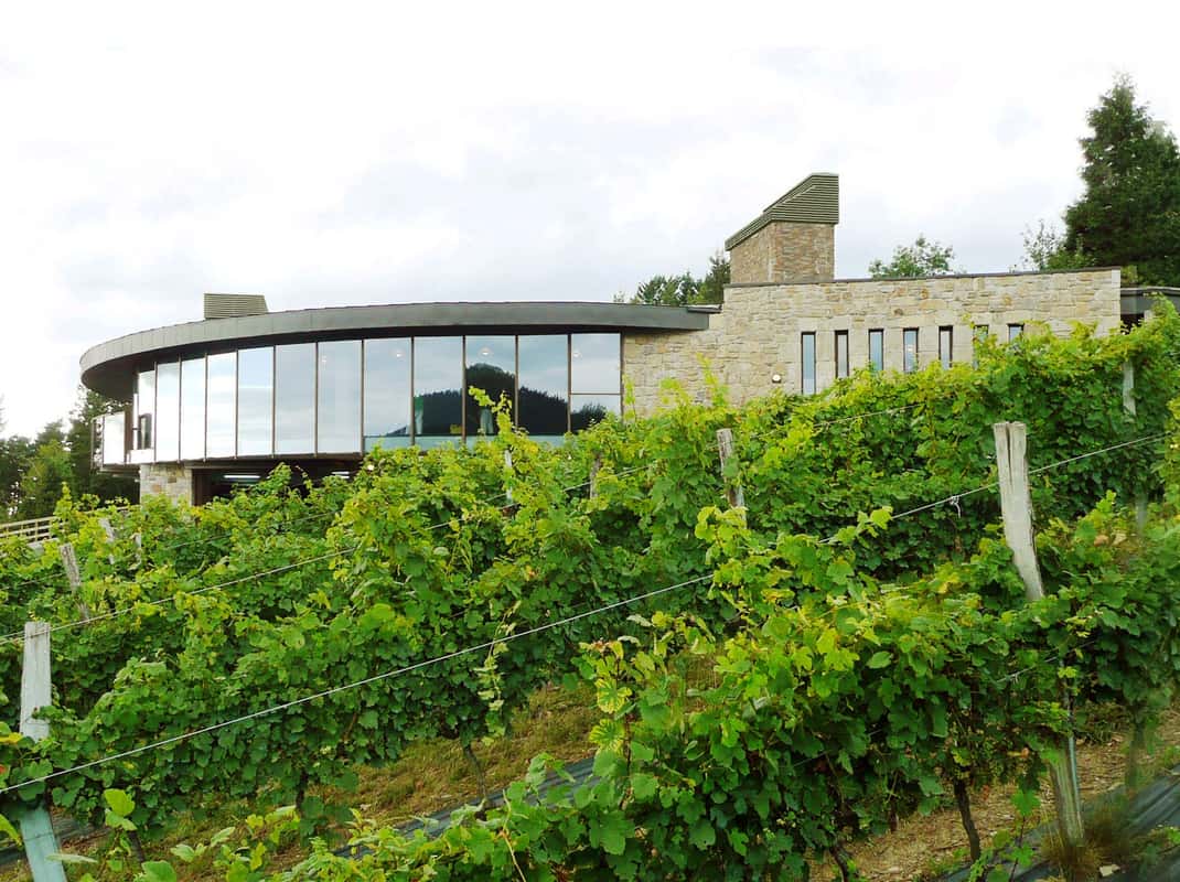 Bilbao: Txakoli und lokale Aromen in der Urdaibai-Biosphäre