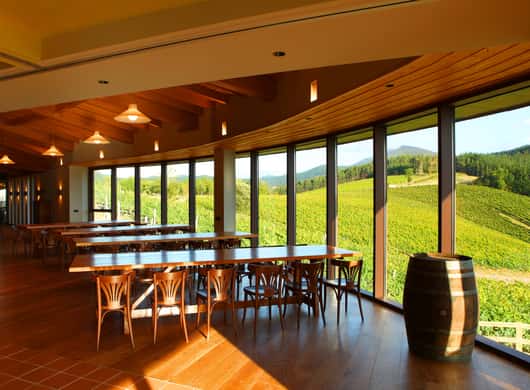 Bilbao: Txakoli & lokale Genüsse in Urdaibai entdecken