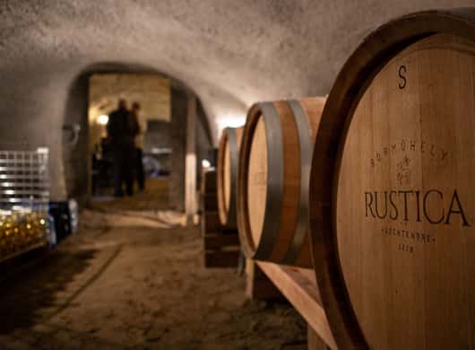 Budapest: Weinprobe in Szentendre mit Snacks und Genuss