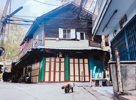Bangkok: Talad Noi erkunden & Kunst erleben