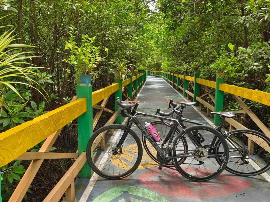 Bangkok: Radtour mit Meerblick durch den Mangroven-Tunnel