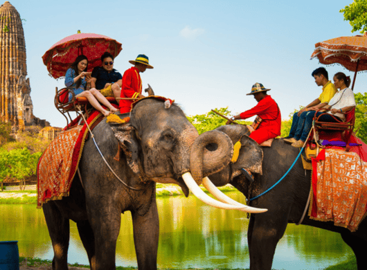 Bangkok: 10-Stunden-Charter nach Ayutthaya mit Luxus-Fahrzeug