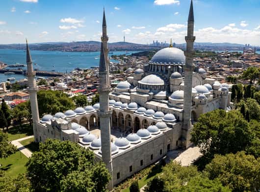 Istanbul: Prächtige Moscheen ohne Anstehen mit Guide