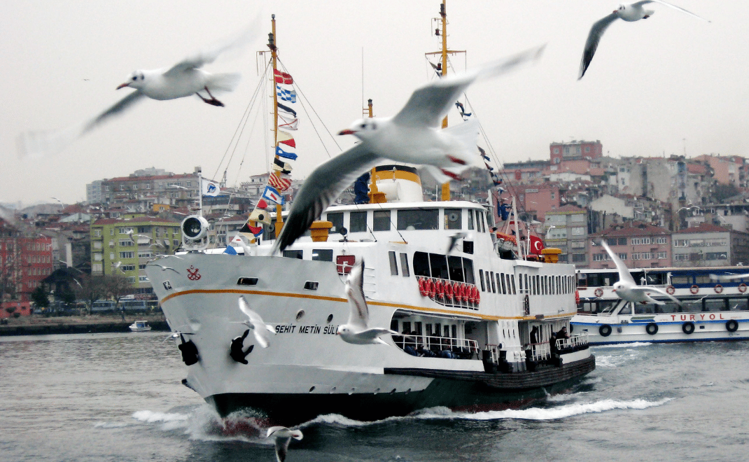 Istanbul: Bosporus-Kreuzfahrt am Morgen mit Frühstück